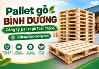 Sản xuất pallet gỗ theo yêu cầu tại Bình Dương – Pallet gỗ Toàn Thắng