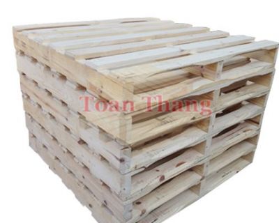Mẫu pallet 01