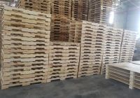 Chất lượng độ ẩm có ảnh hưởng gì đến pallet gỗ không?