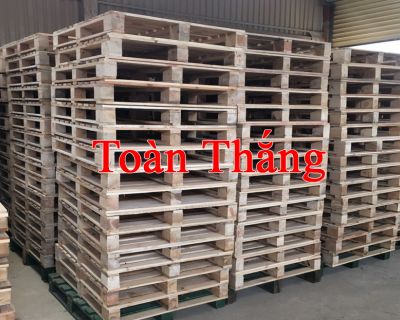 Cung cấp pallet gỗ